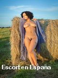 Anuncios de sexo en Novelda